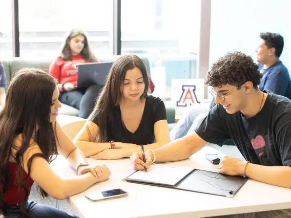 Student group studying