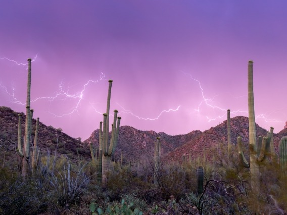 lightning bolts over a desert landscape