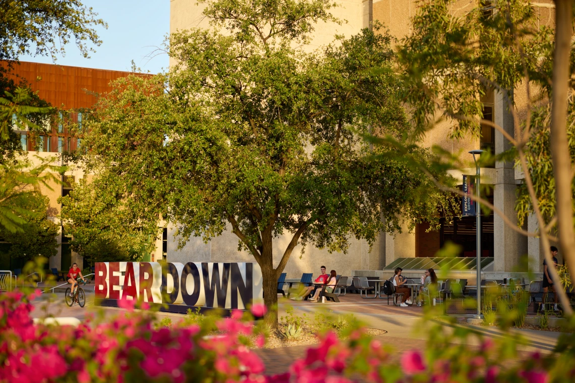 Bear Down Sign Student Success District