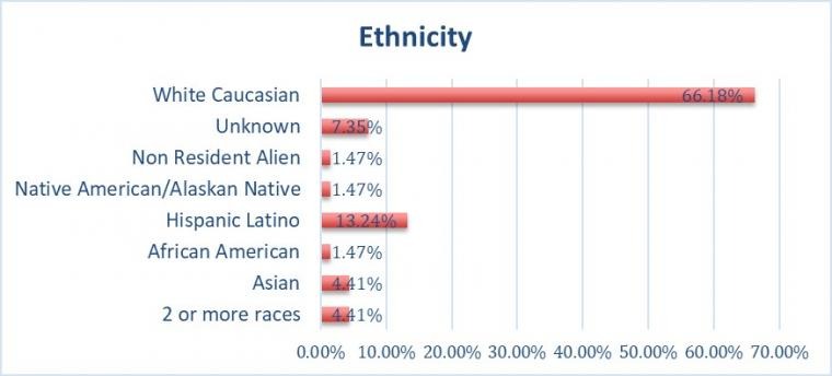 PIF 2020 Ethnicity Table