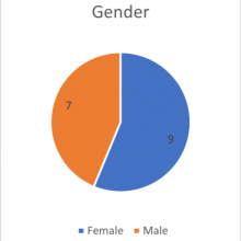 PIF Spring 2021 Gender