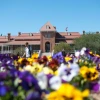 Old Main in the background, with purple, yellow, white and red flowers in the foreground