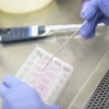 Medical test tubes