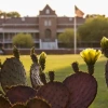 old main behind a cactus