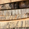 tree-ring cross sectional samples stacked on top of one another