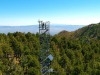 Researchers using eddy co-valieance towers are monitoring the exchange of carbon and moisture between forests and the atmosphere. 